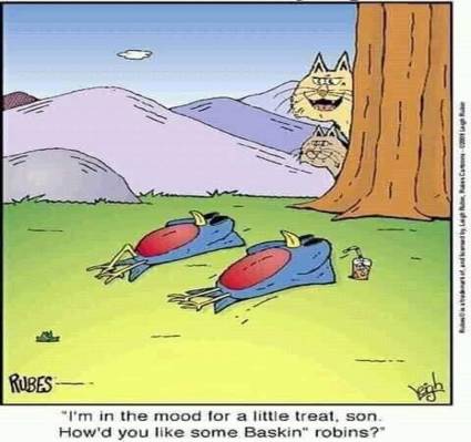 BaskinRobins