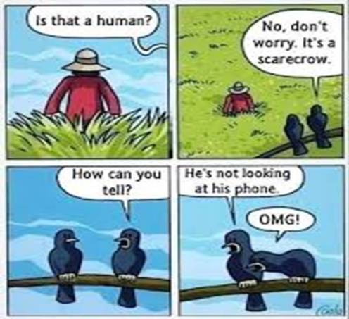 Scarecrow