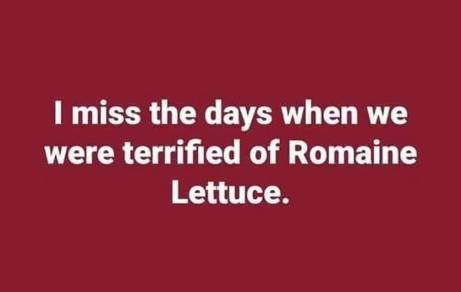 Lettuce