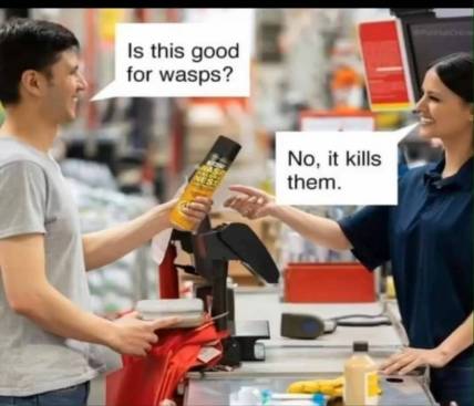 Wasps
