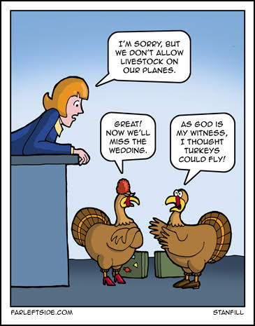 Turkeys