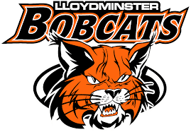 Bobcats