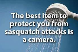 Sasquatch
