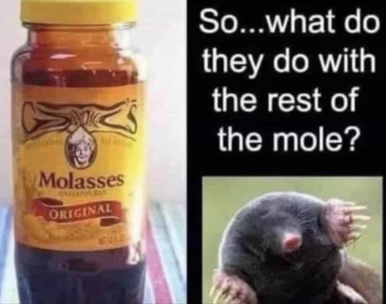 Moles