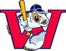 Goldeyes