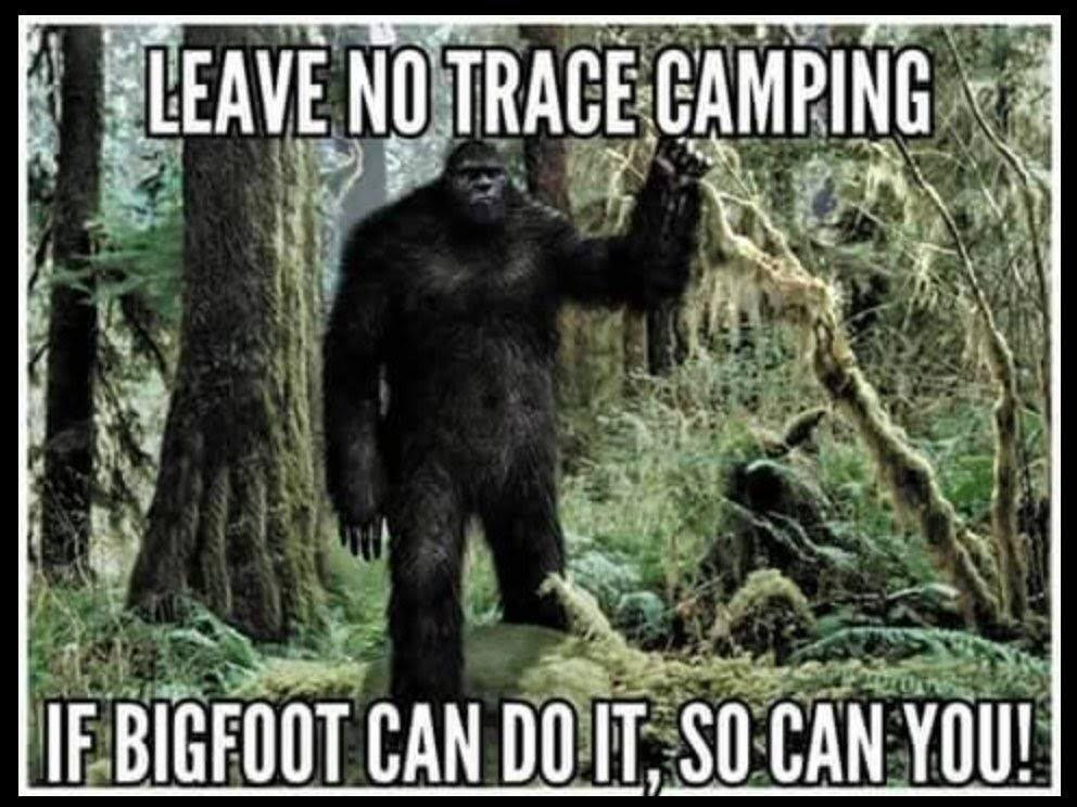 Bigfoot
