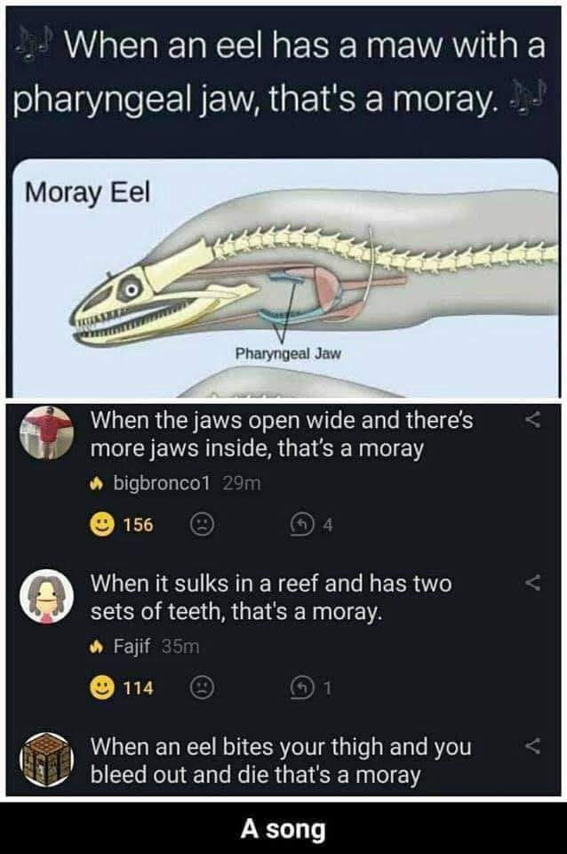 Moray