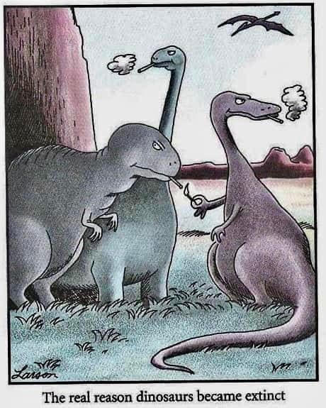 Dinos