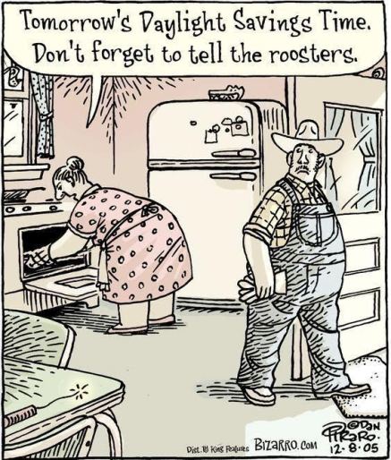 Roosters