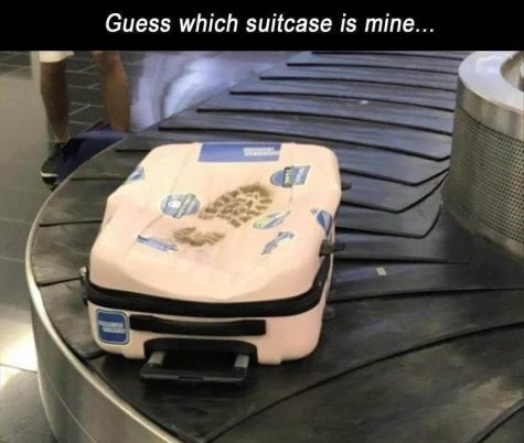 Suitcase