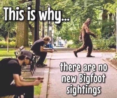 Bigfoot