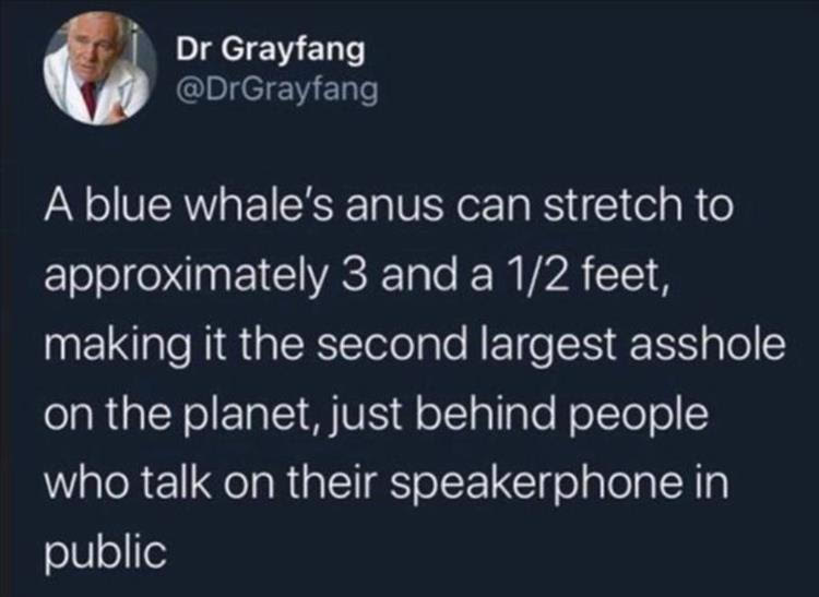 BlueWhale