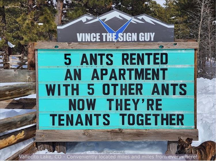 Ants