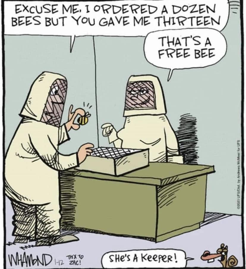Bees