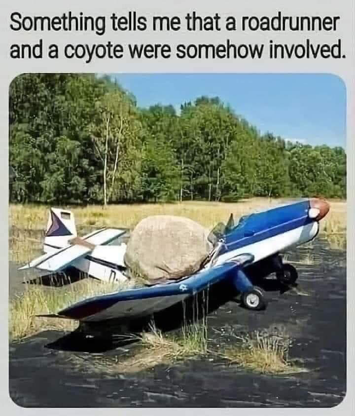 Coyote