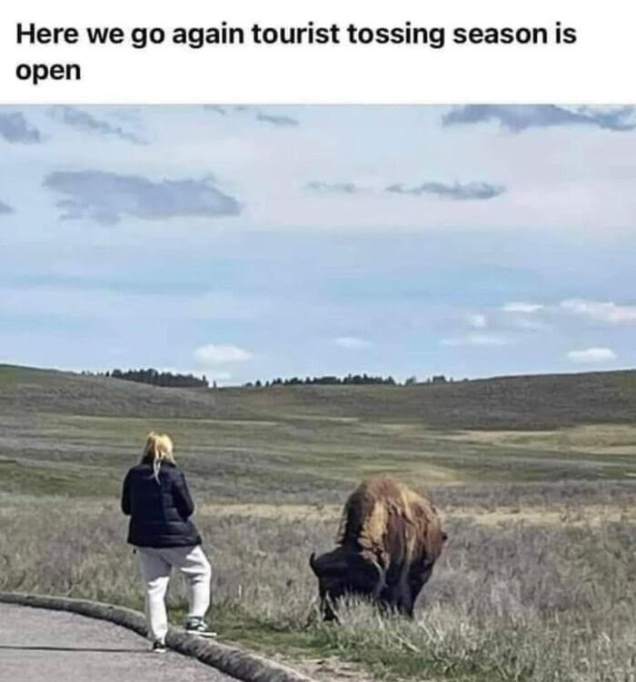 Buffalo